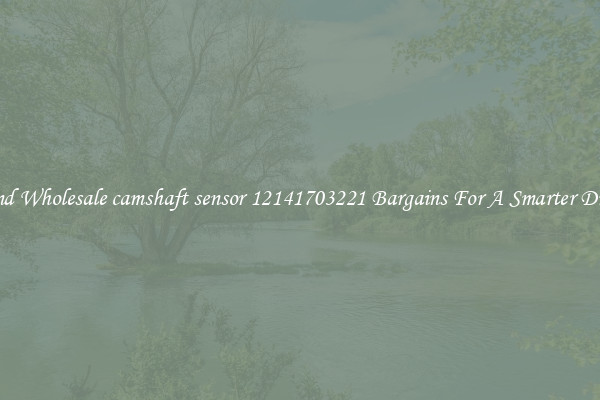 Find Wholesale camshaft sensor 12141703221 Bargains For A Smarter Drive