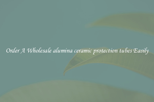 Order A Wholesale alumina ceramic protection tubes Easily