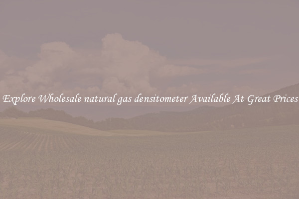 Explore Wholesale natural gas densitometer Available At Great Prices