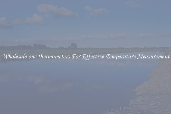 Wholesale one thermometers For Effective Temperature Measurement