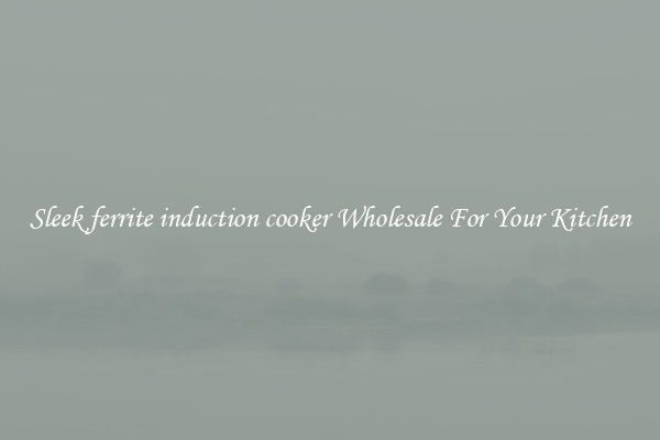 Sleek ferrite induction cooker Wholesale For Your Kitchen