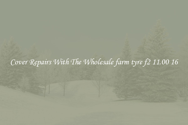  Cover Repairs With The Wholesale farm tyre f2 11.00 16 