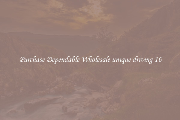 Purchase Dependable Wholesale unique driving 16
