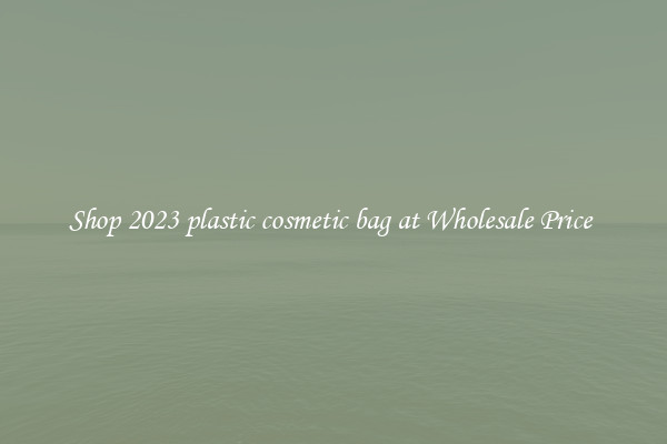 Shop 2023 plastic cosmetic bag at Wholesale Price 