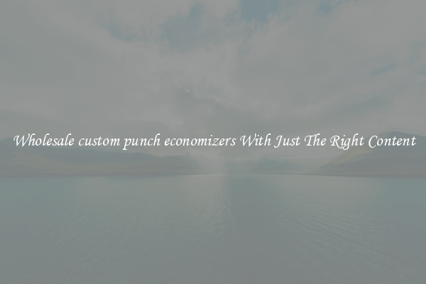 Wholesale custom punch economizers With Just The Right Content
