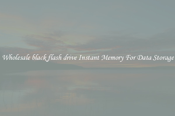 Wholesale black flash drive Instant Memory For Data Storage