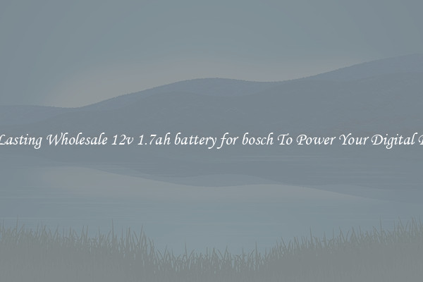 Long Lasting Wholesale 12v 1.7ah battery for bosch To Power Your Digital Devices