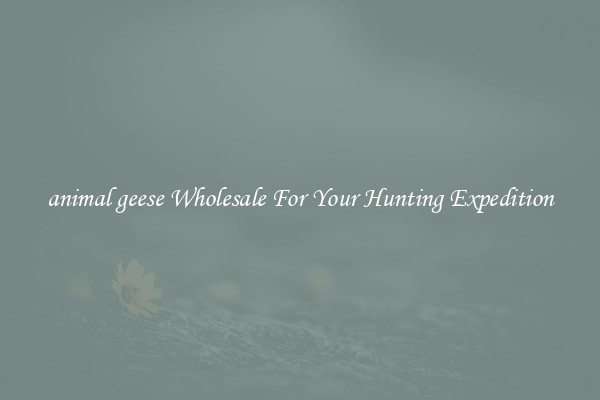 animal geese Wholesale For Your Hunting Expedition