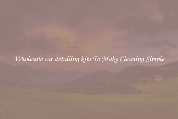 Wholesale car detailing kits To Make Cleaning Simple