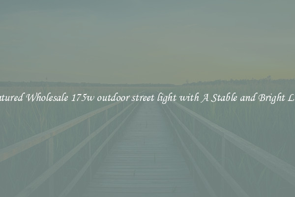 Featured Wholesale 175w outdoor street light with A Stable and Bright Light