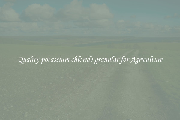 Quality potassium chloride granular for Agriculture