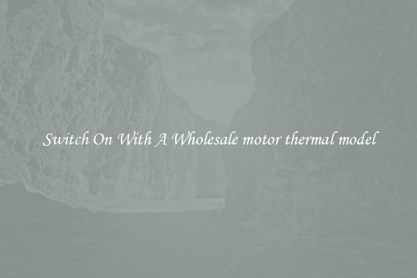 Switch On With A Wholesale motor thermal model