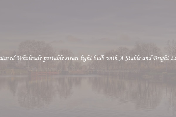 Featured Wholesale portable street light bulb with A Stable and Bright Light