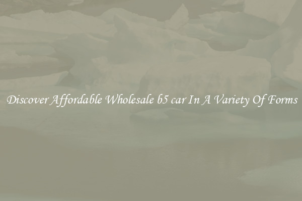 Discover Affordable Wholesale b5 car In A Variety Of Forms
