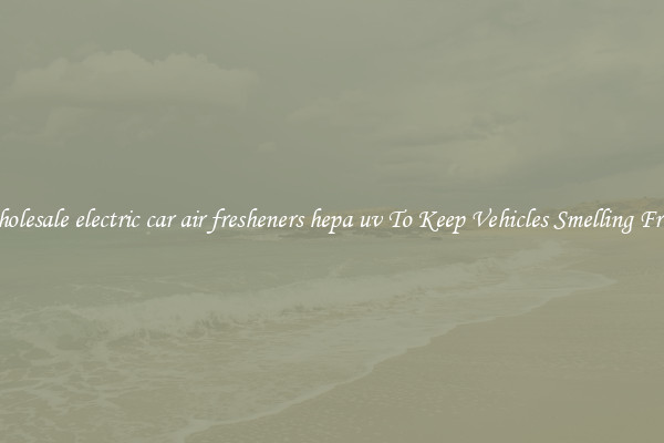 Wholesale electric car air fresheners hepa uv To Keep Vehicles Smelling Fresh