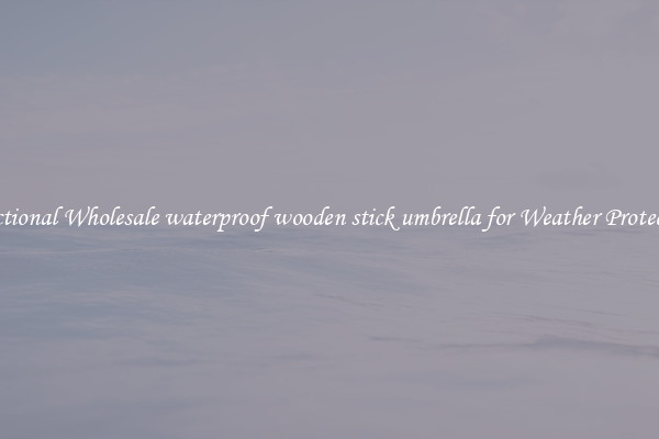 Functional Wholesale waterproof wooden stick umbrella for Weather Protection 