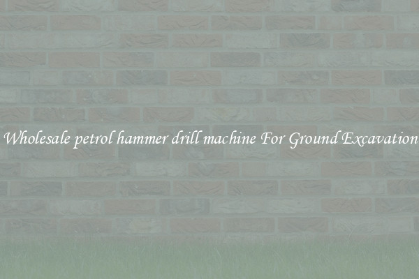 Wholesale petrol hammer drill machine For Ground Excavation