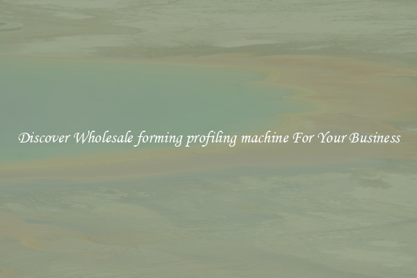 Discover Wholesale forming profiling machine For Your Business