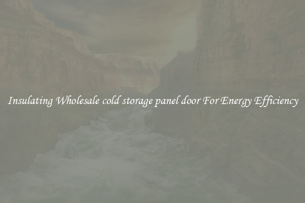 Insulating Wholesale cold storage panel door For Energy Efficiency