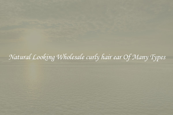 Natural Looking Wholesale curly hair ear Of Many Types